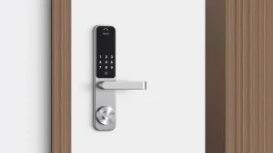 Smart Door Lock with Handle